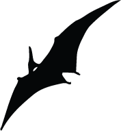 Pteranodon Silhouette