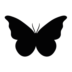 Butterfly Download