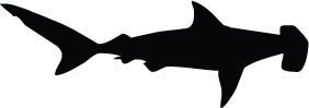Hammerhead Shark Silhouette