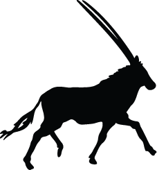 Oryx Silhouette