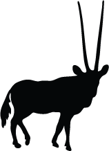 Oryx Silhouette