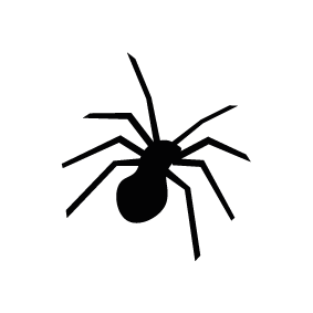 Spider Download